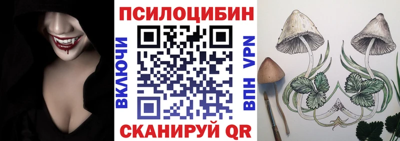 ОМГ ОМГ вход  Ноябрьск  Галлюциногенные грибы мицелий 