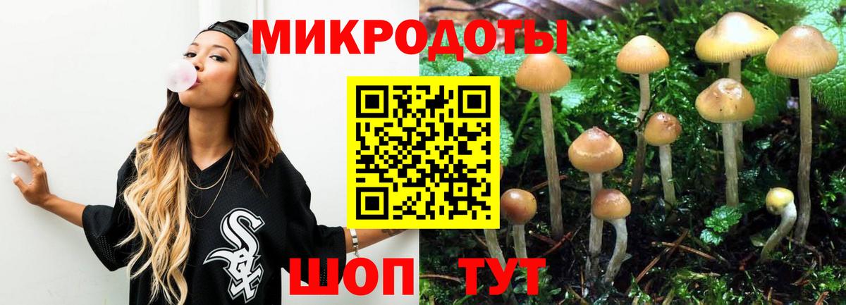 Псилоцибиновые грибы Magic Shrooms  Вход с VPN  Ноябрьск  Галлюциногенные грибы ЛСД 