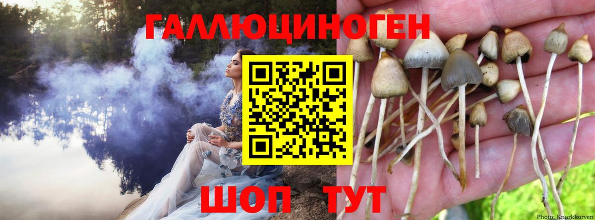 Галлюциногенные грибы прущие грибы Ноябрьск